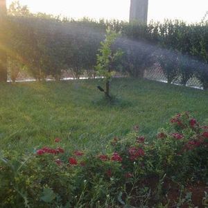 Meet your Posher, Samar